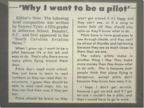 358 words essay on career as a Pilot in the Indian Air Force